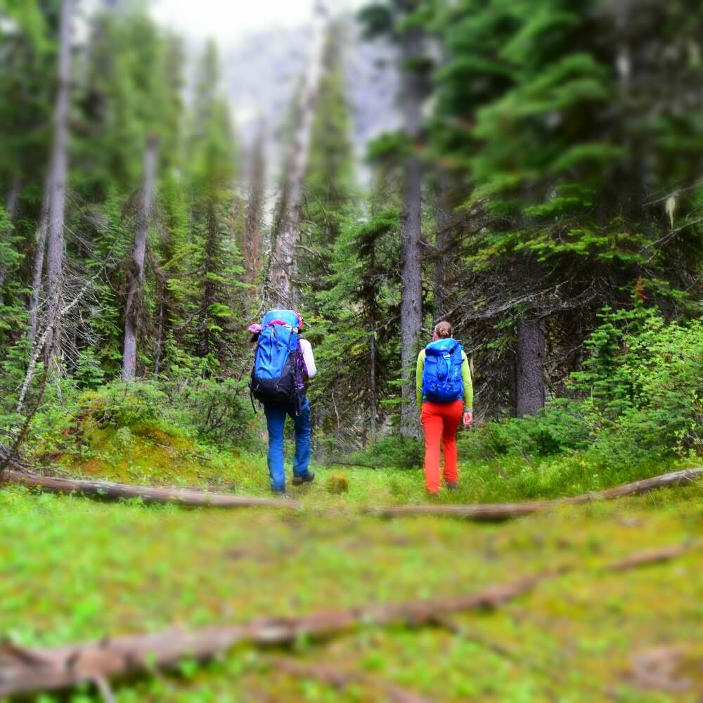 Guided hiking to Talus Lodge